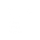Pulski filmski festival